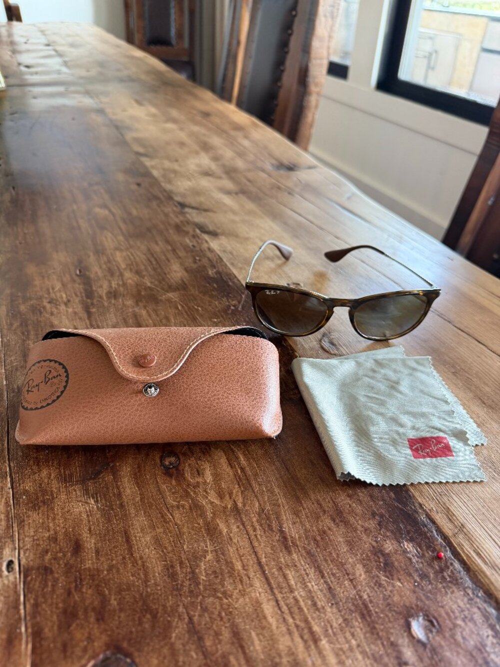 Ray-Ban Erika RB4171 710/T5 Polarized Tortoise Sunglasses + Case and Cloth